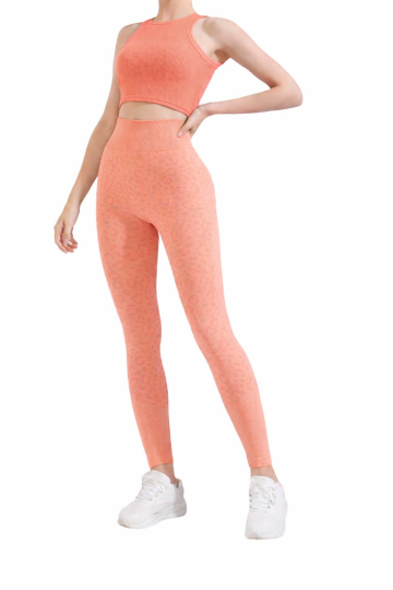 3455e1d5 6df2 405c bdf6 b84cb5535117