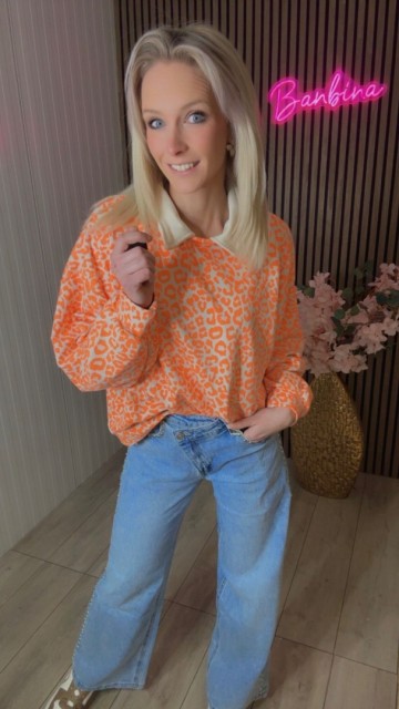 E91e4dfc 06f8 473e 904e 33e310d521fb