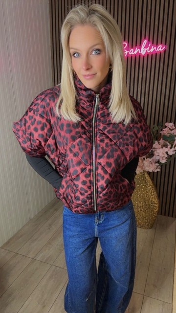 F89202c8 393b 4fb3 b722 ea421af7eac2